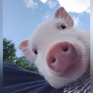 🩷Unlisted inventory🩷